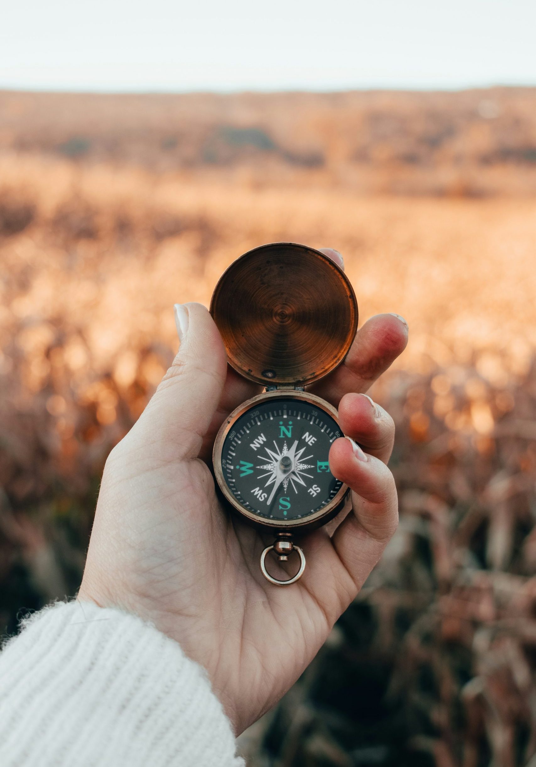 mariah-hewines-TQ3JV9ECgLM-unsplash